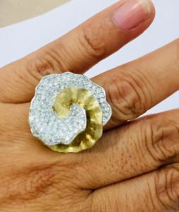 two tone ring in a woman's finger