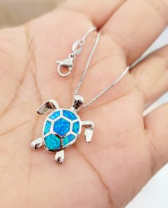 sea turtle on a woman's palm